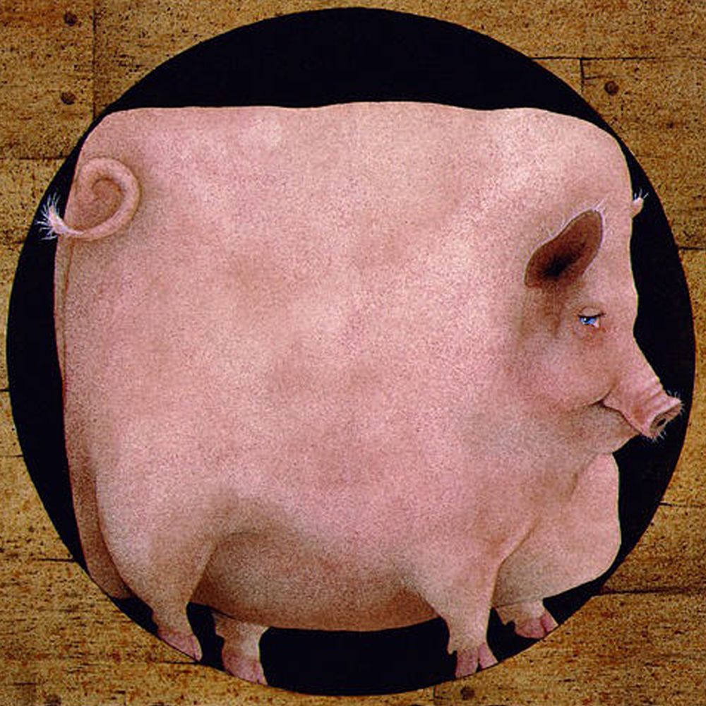 pig